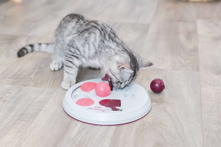 TRIXIE Katzenspiel Cat Activity Flip Board